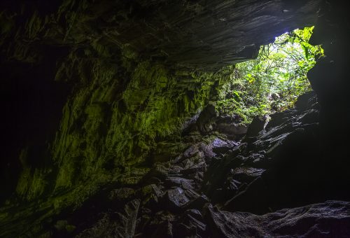 Aripo Cave