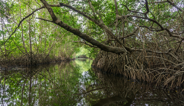 Nature & Wildlife In Trinidad | Visit Trinidad