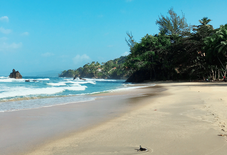 7 Beautiful Beaches To See On Trinidad’s North Coast - Visit Trinidad