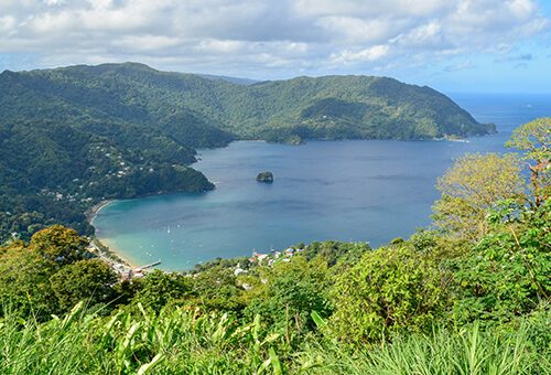 A view of Charlotteville from Flagstaff Hill