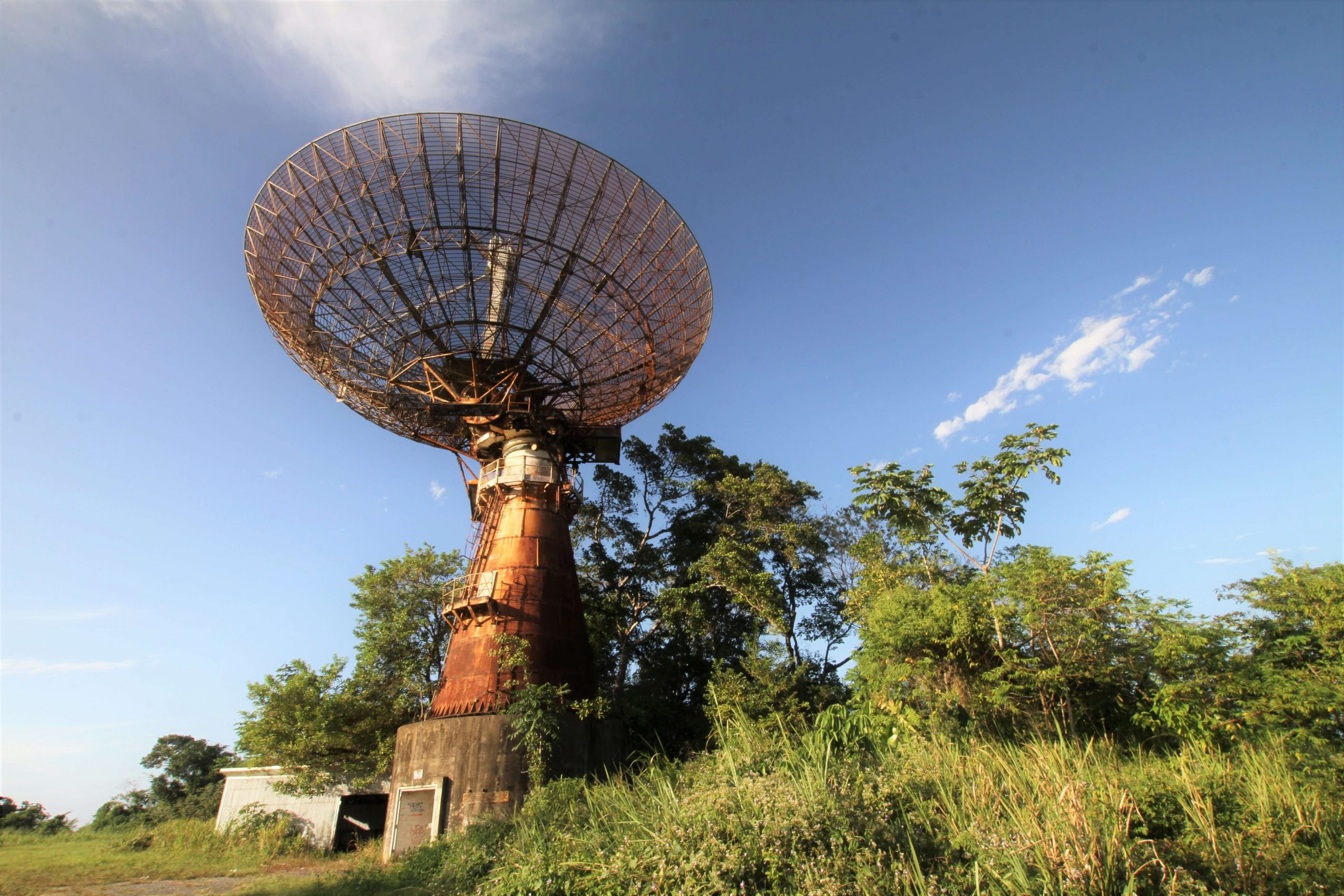 Land of Palms Tours in Trinidad Visit Trinidad