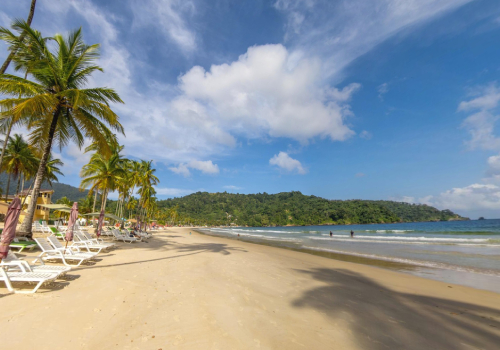 Maracas Bay Virtual Tour in Trinidad