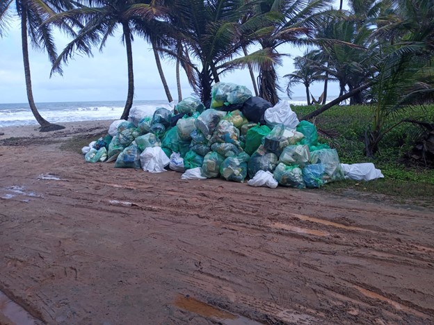 Sea Turtle Conservation in Trinidad | Visit Trinidad