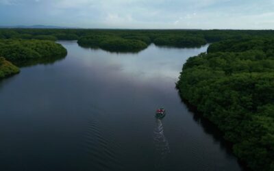 Caroni Bird Sanctuary as captured by Mark Wiens in Trinidad and Tobago