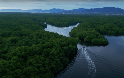 Caroni Bird Sanctuaryy in Trinidad - Dining in the Caroni Bird Sanctuary in Trinidad - Visit Trinidad