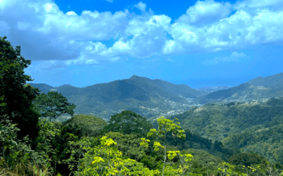 Paramin The Mountain Spice Experience in Trinidad - Visit Trinidad