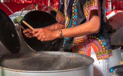 Hands-on Steelpan Experience - Banwari - Visit Trinidad - Tours in Trinidad
