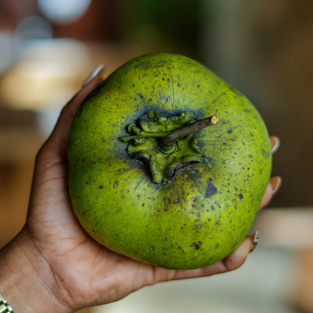 The Melting Pot Of The Caribbean Unique Fruits To Try In Trinidad