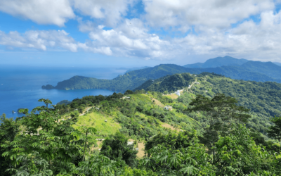 Paramin - Things to Do in Trinidad