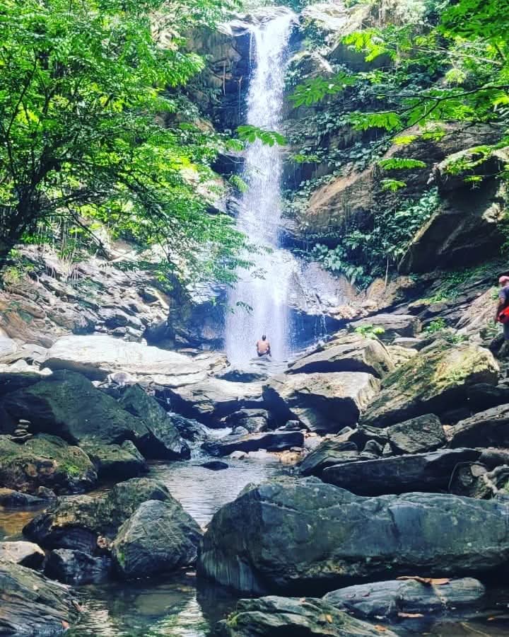 Avocat Waterfall