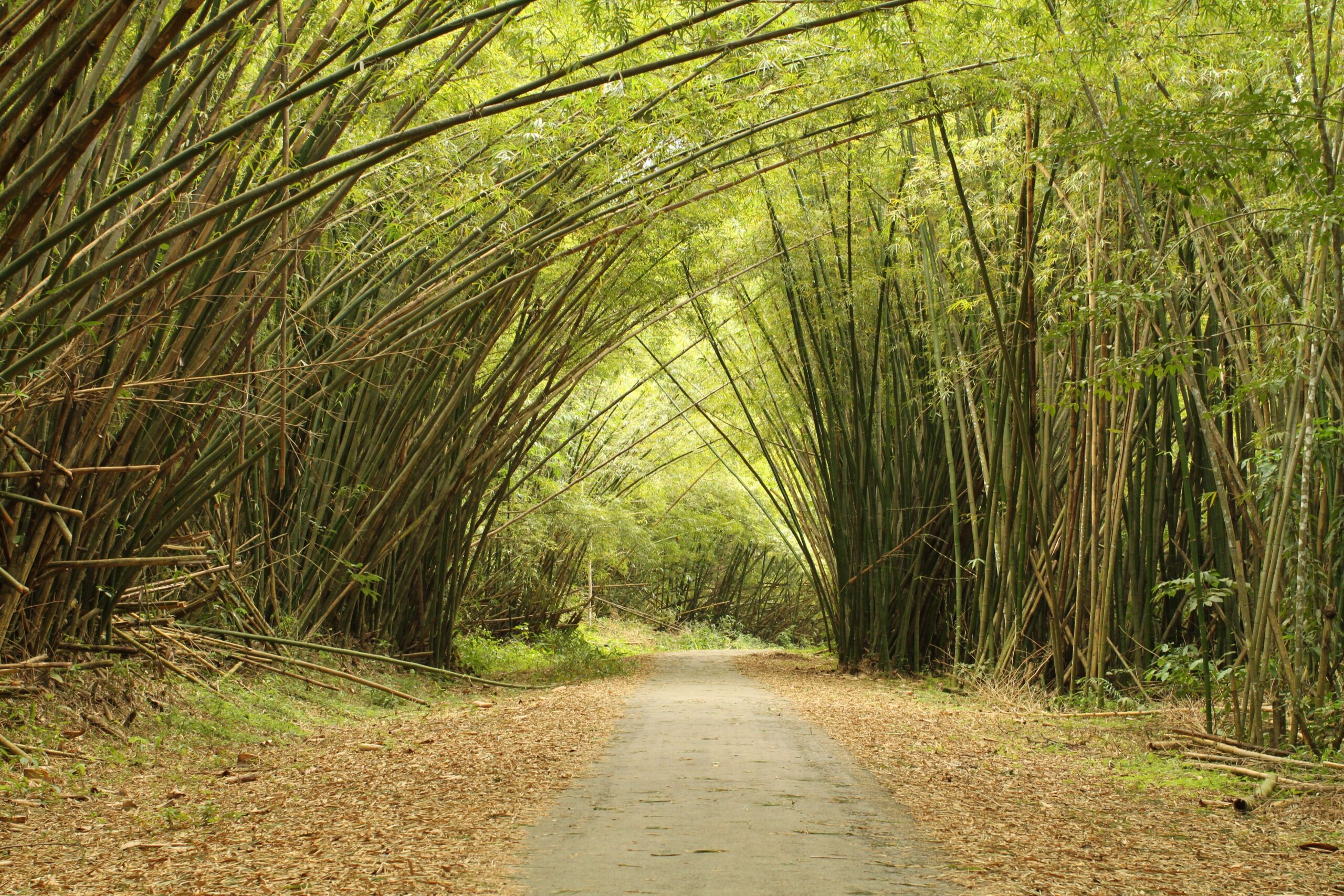 Visit Trinidad